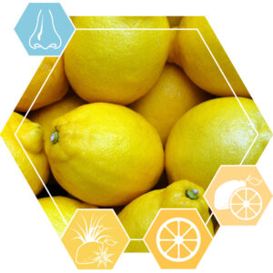 Essential oil Lemon CP