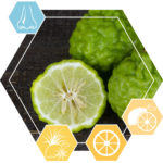 Essential oil Bergamot FCR *ADR*