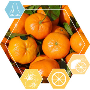 EO Petitgrain mandarine
