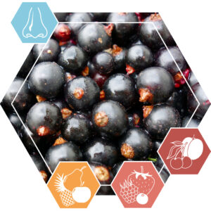 Essential oil Buchu leaf